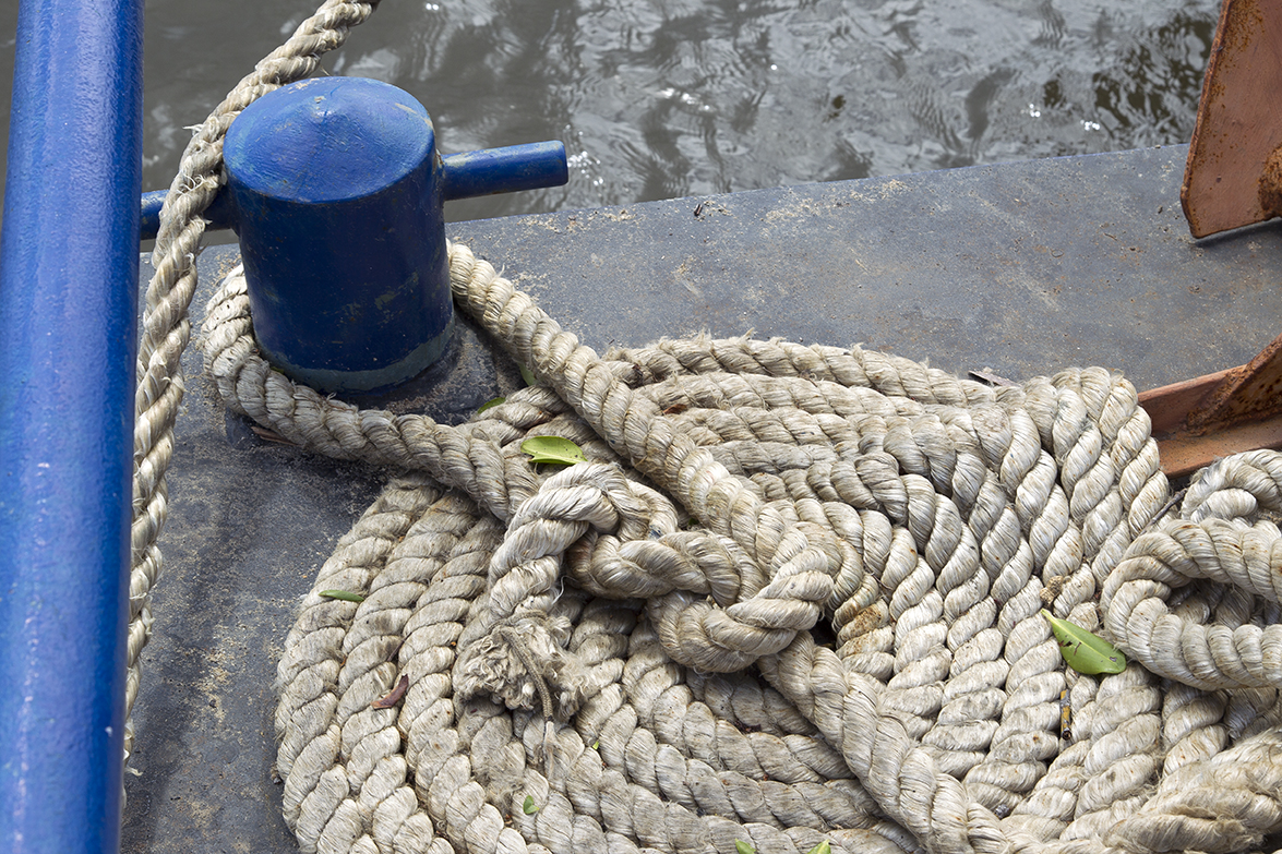 Salvador Bahia - Brazil