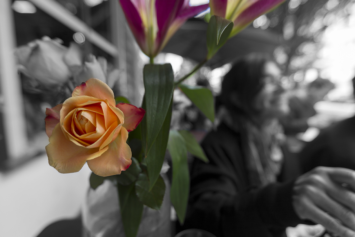 Berlin - Germany - varie