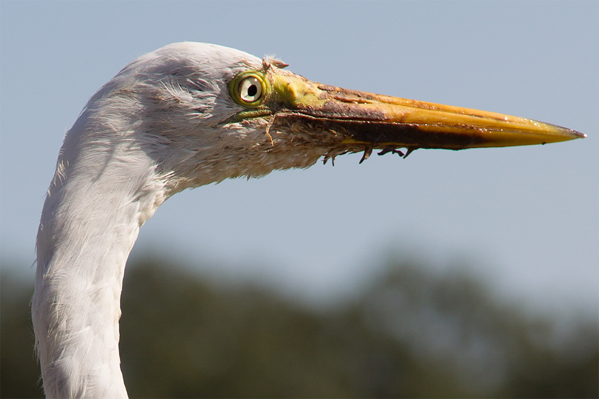 Salvador Bahia - Brazil