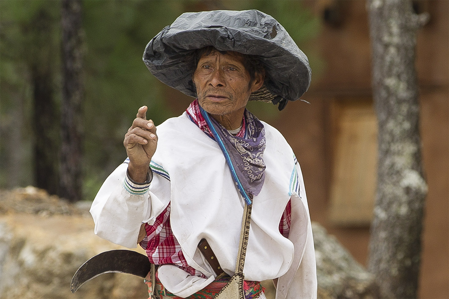 Los Wixa - Jalisco - México