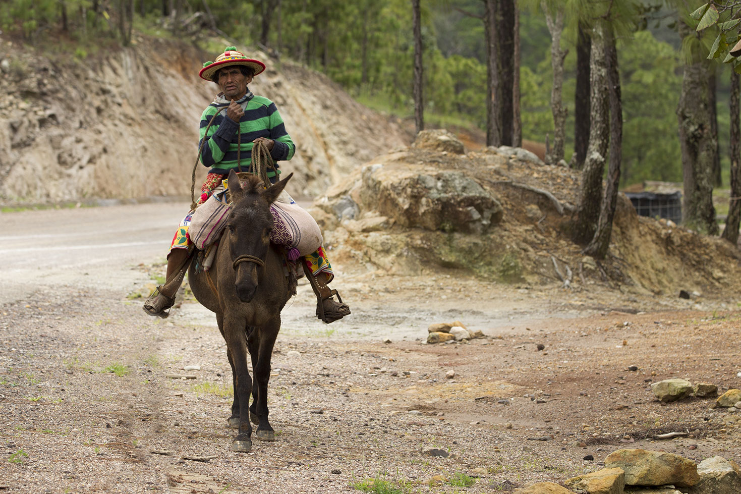 Los Wixa - Jalisco - México
