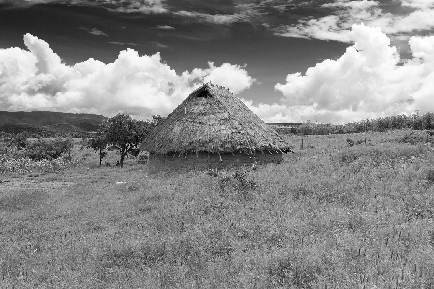 Los Wixa - Jalisco - México
