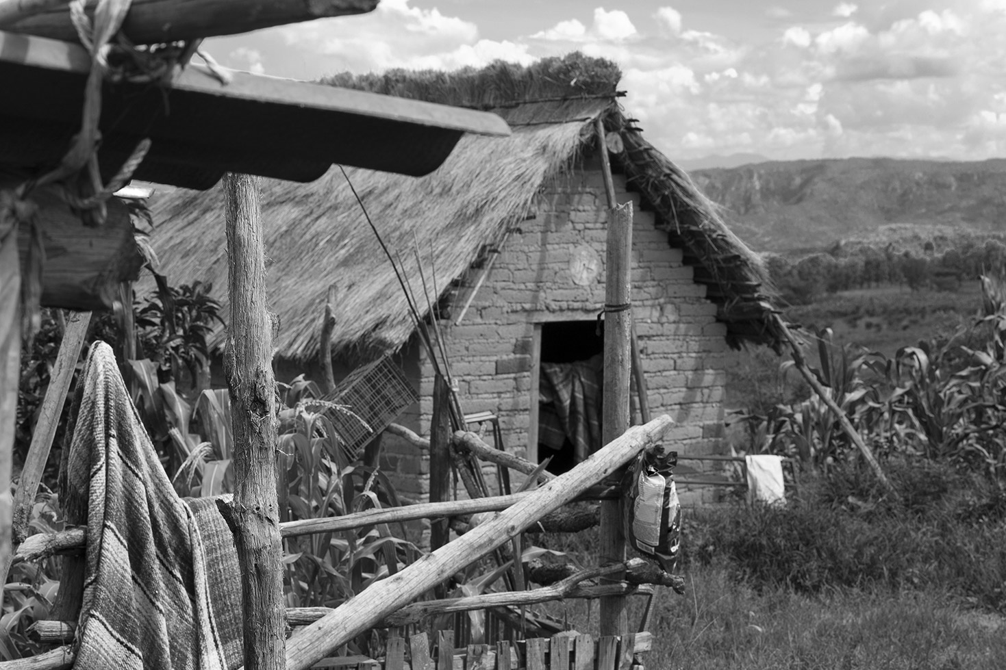 Los Wixa - Jalisco - México