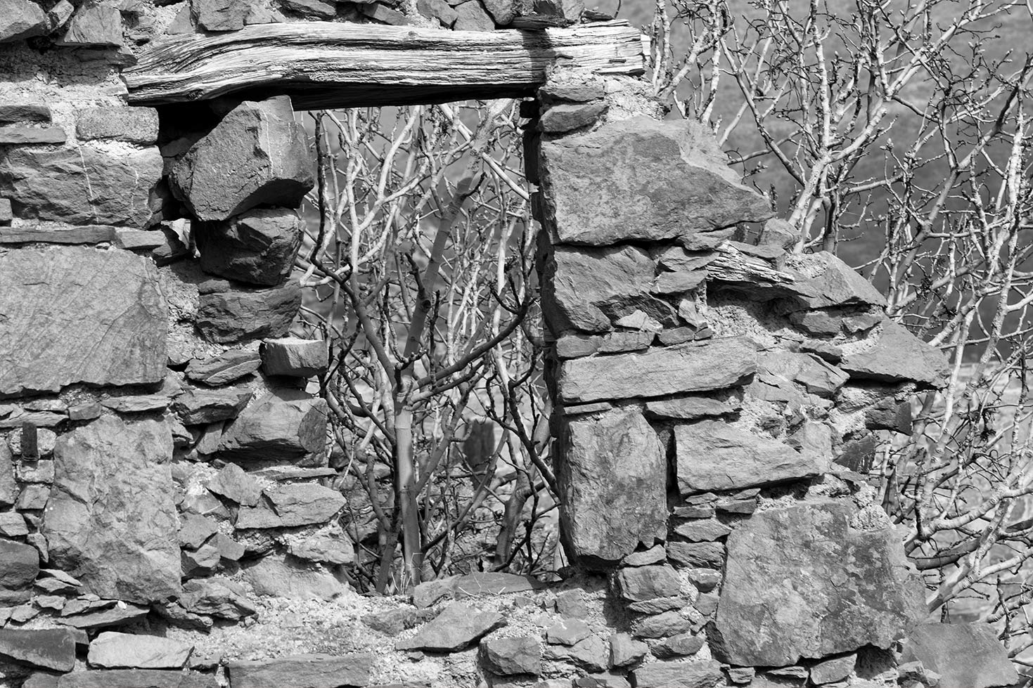 Volissos, Chios - Grecia