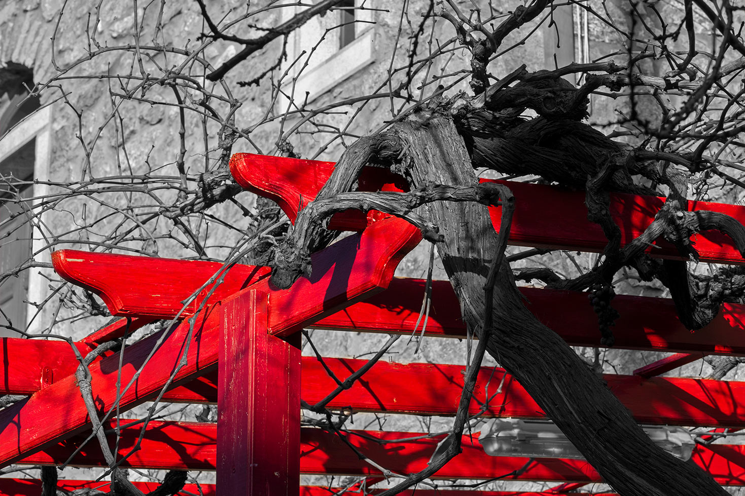 Mesta, Chios - Grecia 