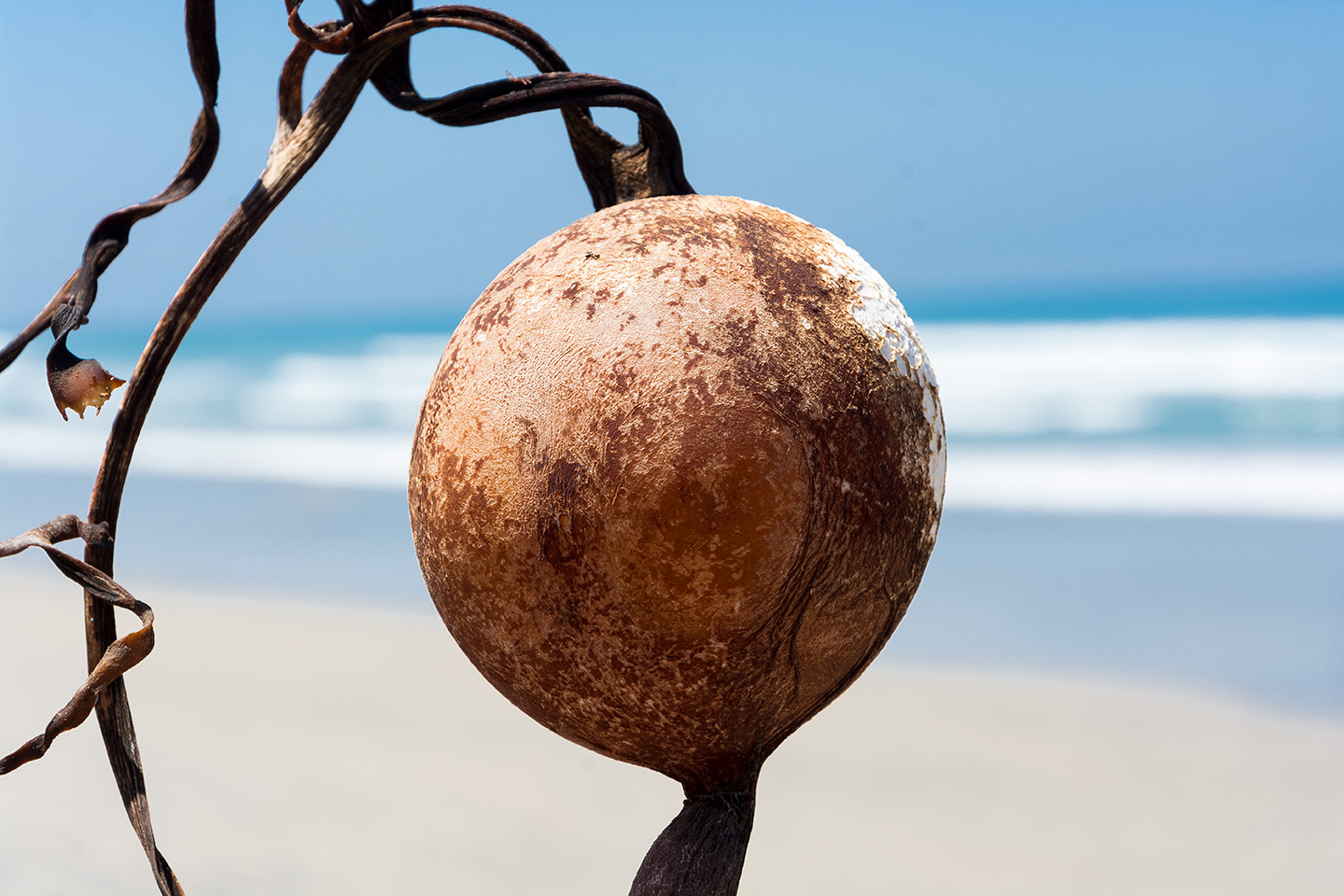 Baja California - México