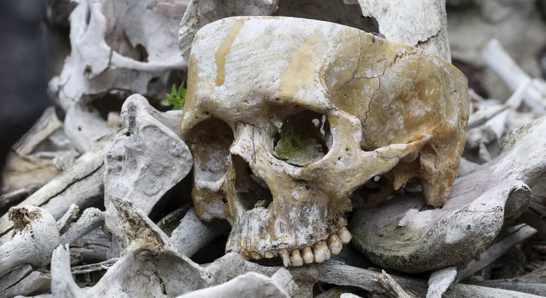 Dia de muertos, Misquic, México